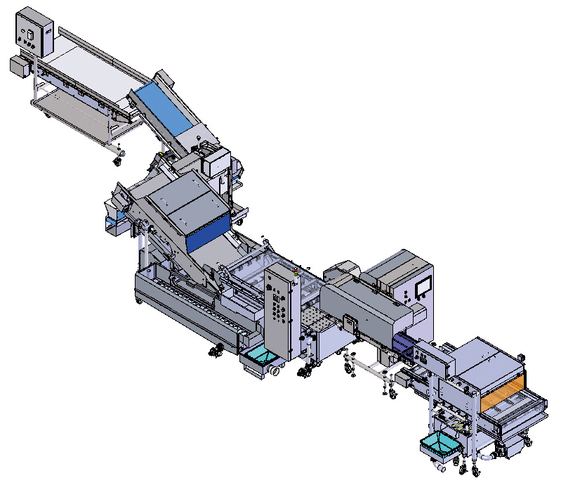 30P 白菜ライン(原画)